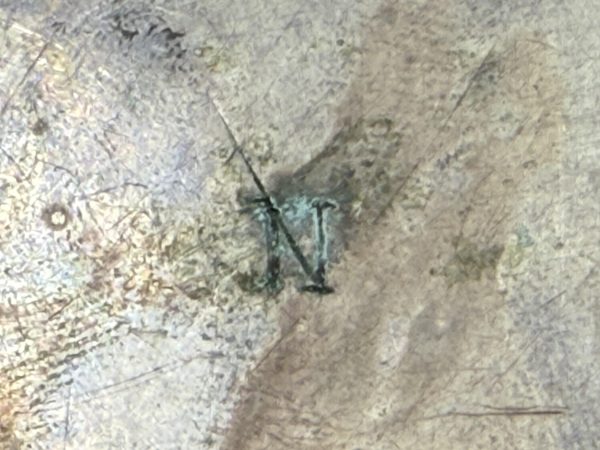 Ζεύγος σαλιέρες - Image 8